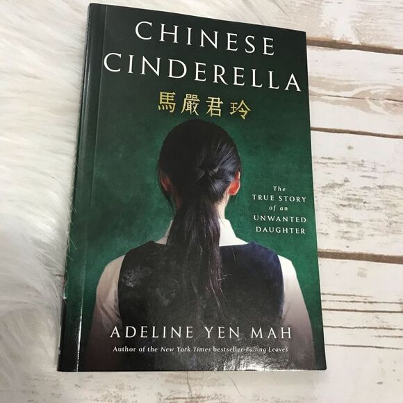 Chinese‎ Cinderella Novel Book Chapter Book Young Adult - Picture 2 of 7